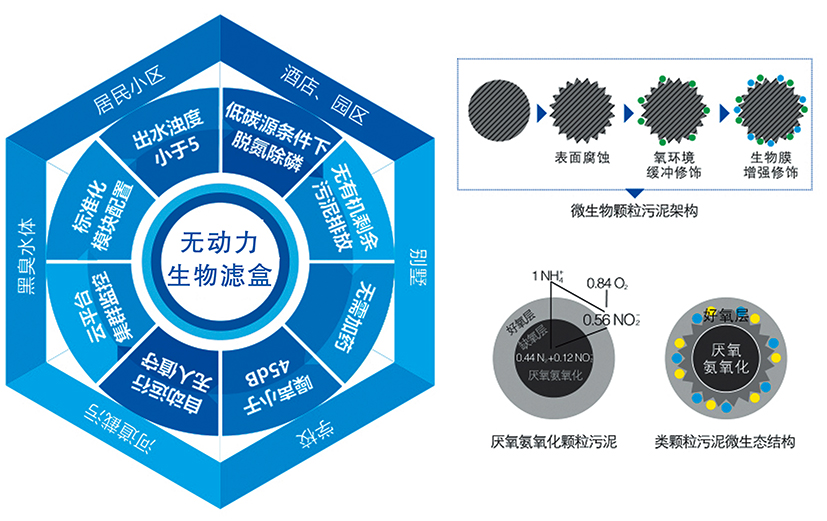 1575944793755183.jpg 無(wú)動(dòng)力生物濾盒002.jpg